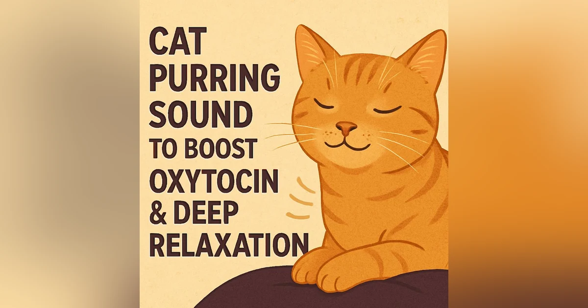 Cat Purring Sound to Boost Oxytocin & Deep Relaxation