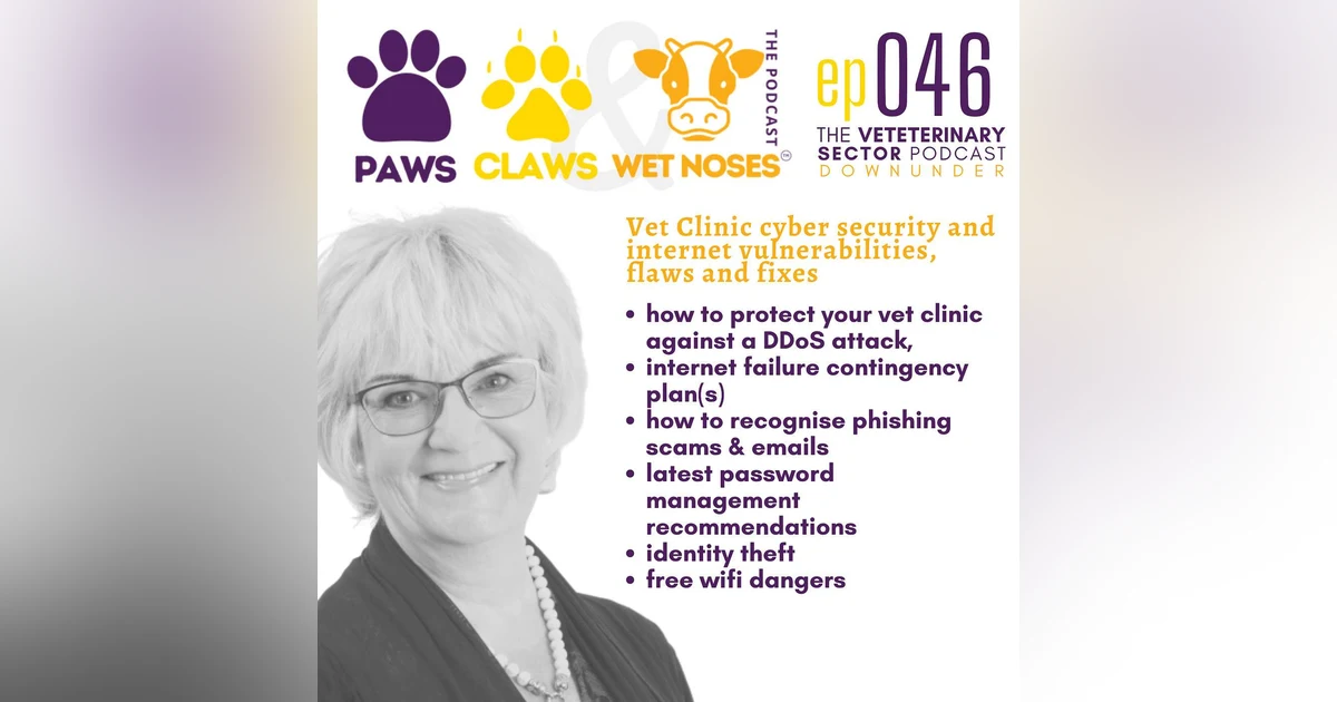 Vet clinic internet and cyber security protection flaws and fixes - ep 046