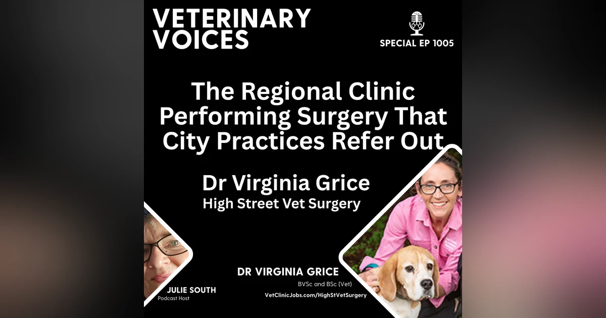 High Street Vet Surgery - The Regional Clinic Performing Surgery That City Practices Refer Out - Dr Virginia Grice - ep.1005