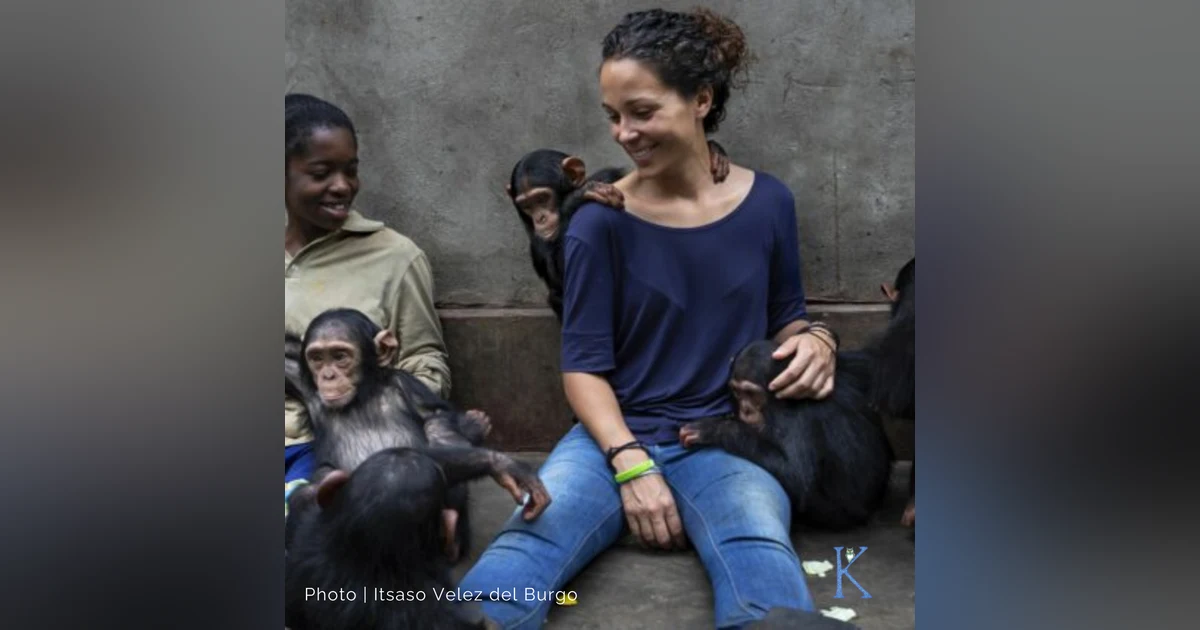 Encore: 23. A Second Chance: Saving Chimpanzees in DR Congo | A Conversation with Itsaso Velez del Burgo, Primatologist and Technical Director for Lwiro Primate Rehabilitation Center