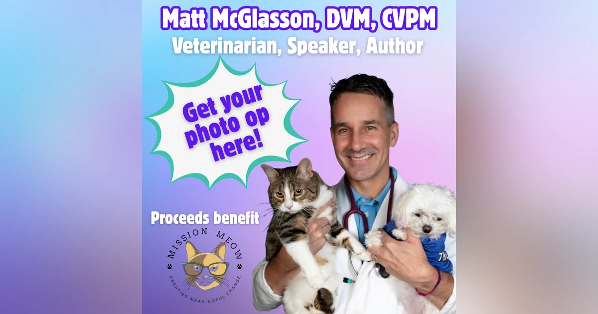 What Dr. Matt Wants Every Cat Lover (and Non-Cat Person) to Know! 🐾 | PurrCon Party Live