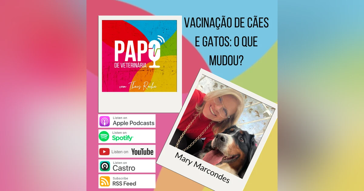 Vacinação de cães e gatos: o que mudou?