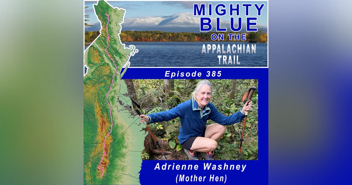 Episode #385 - Adrienne Washney (Mother Hen)