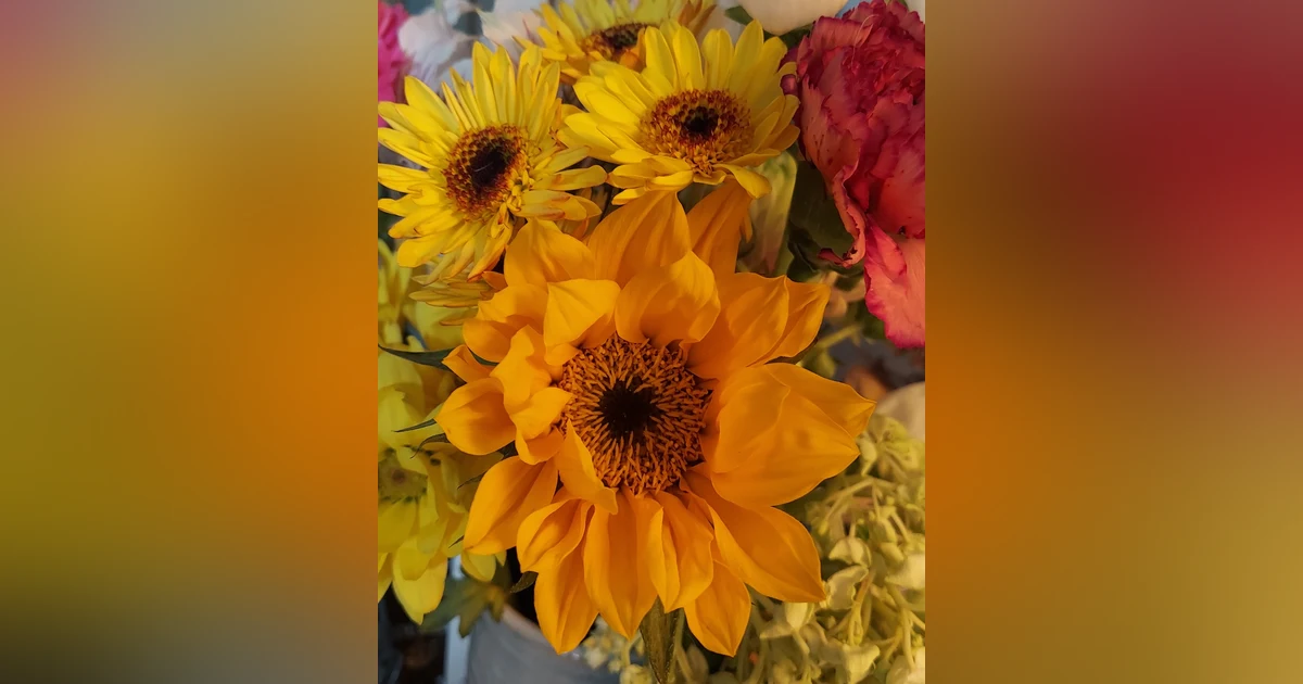 EP33: Holiday Series - The Triple Whammy - Part 1: Gratitude & Acceptance