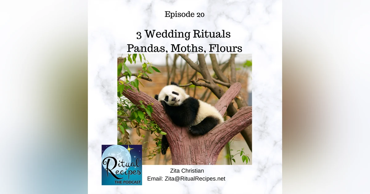3 Wedding Rituals - Pandas, Moths, Flours