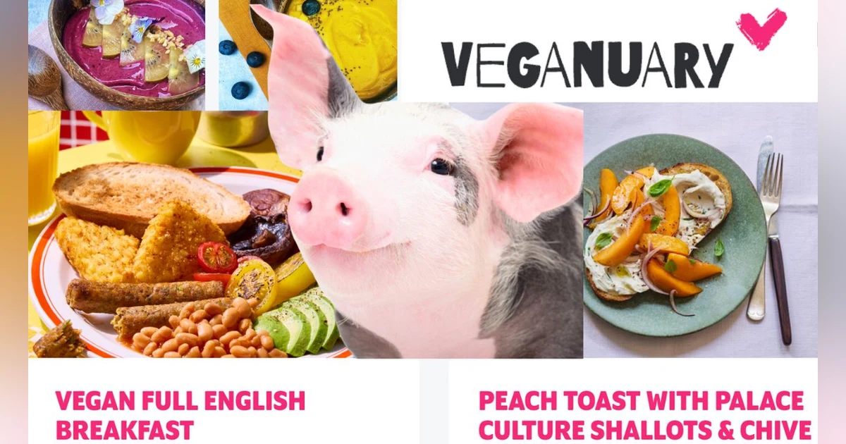 UnchainedTV: VEGANUARY is in Full Swing! Why It's Your opportunity to transform!