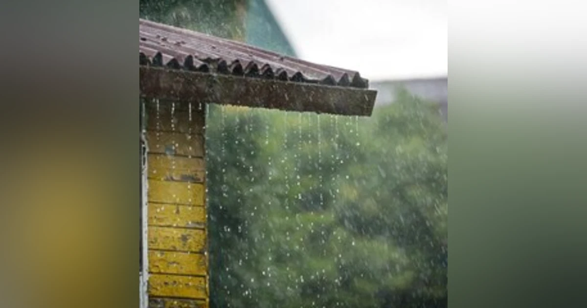 6 Horas de Sonidos de Lluvia Relajante para Dormir en 15 Minutos - Lluvia y Truenos en Bosque Brumoso