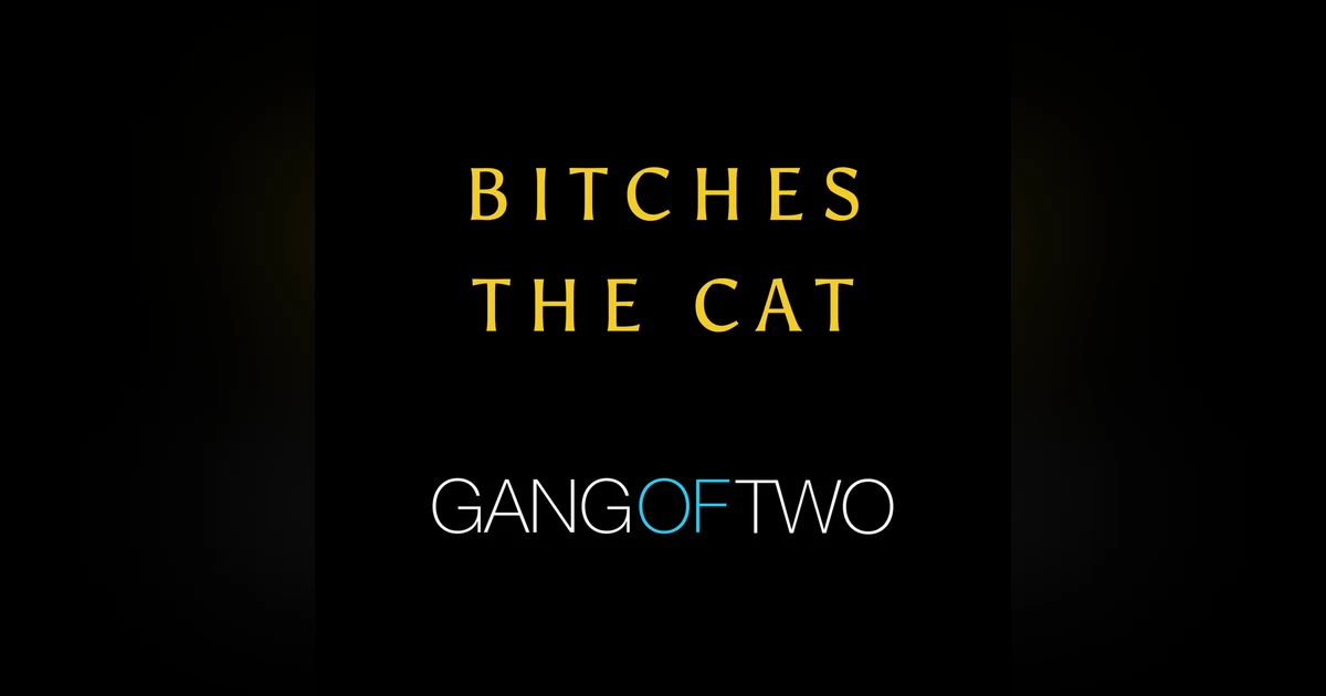 BITCHES THE CAT