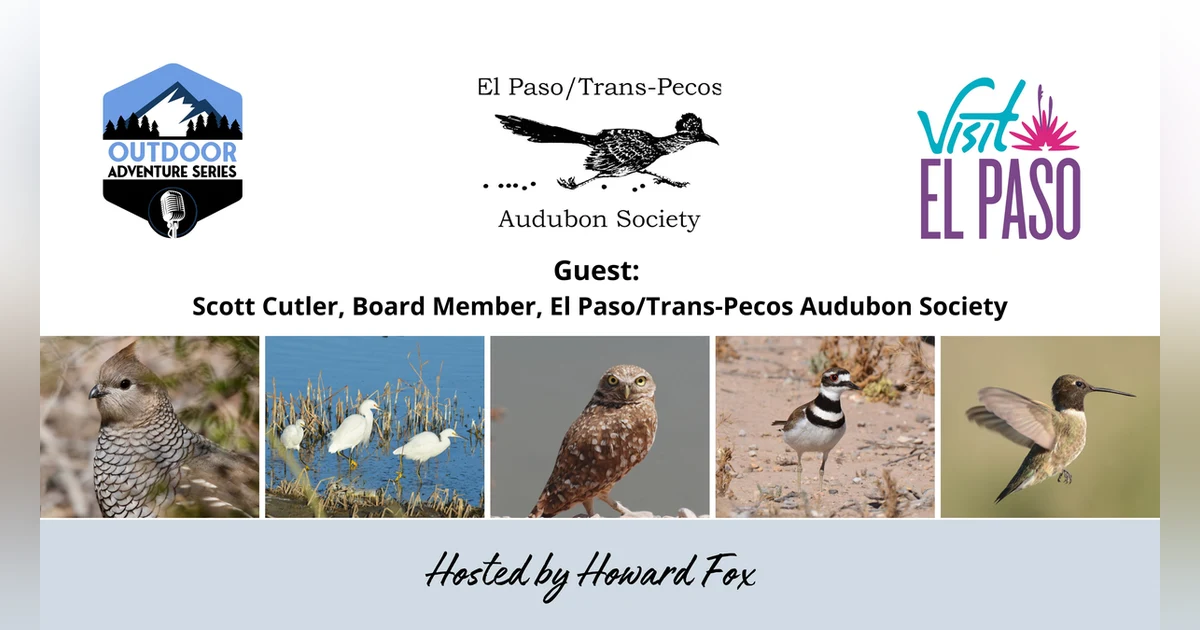 Bird Watching Adventures with Scott Cutler and the El Paso/Trans-Pecos Audubon Society