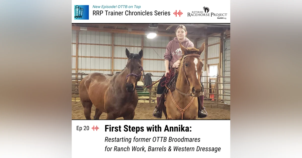 Ep 20 - First Steps with Annika: Restarting former OTTB Broodmares for Ranch Work, Barrels & Western Dressage