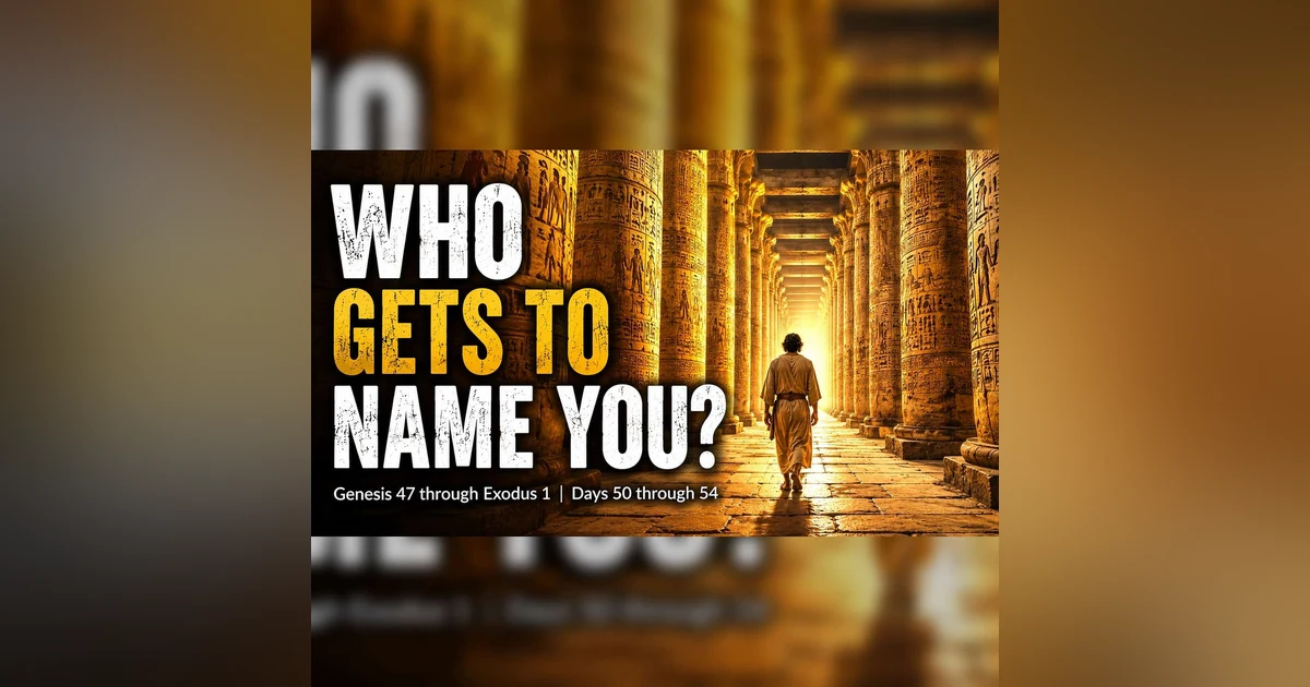 WHO GETS TO NAME YOU?