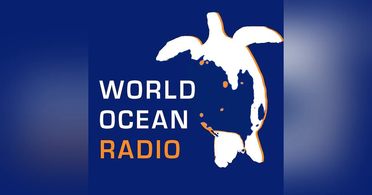 Summing Up Public and Private Philanthropy for the Ocean