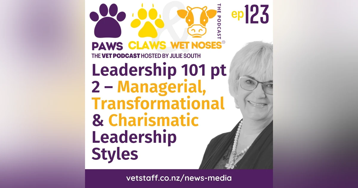 Leadership 101 pt 2 – Managerial, Transformation & Charismatic Leadership Styles