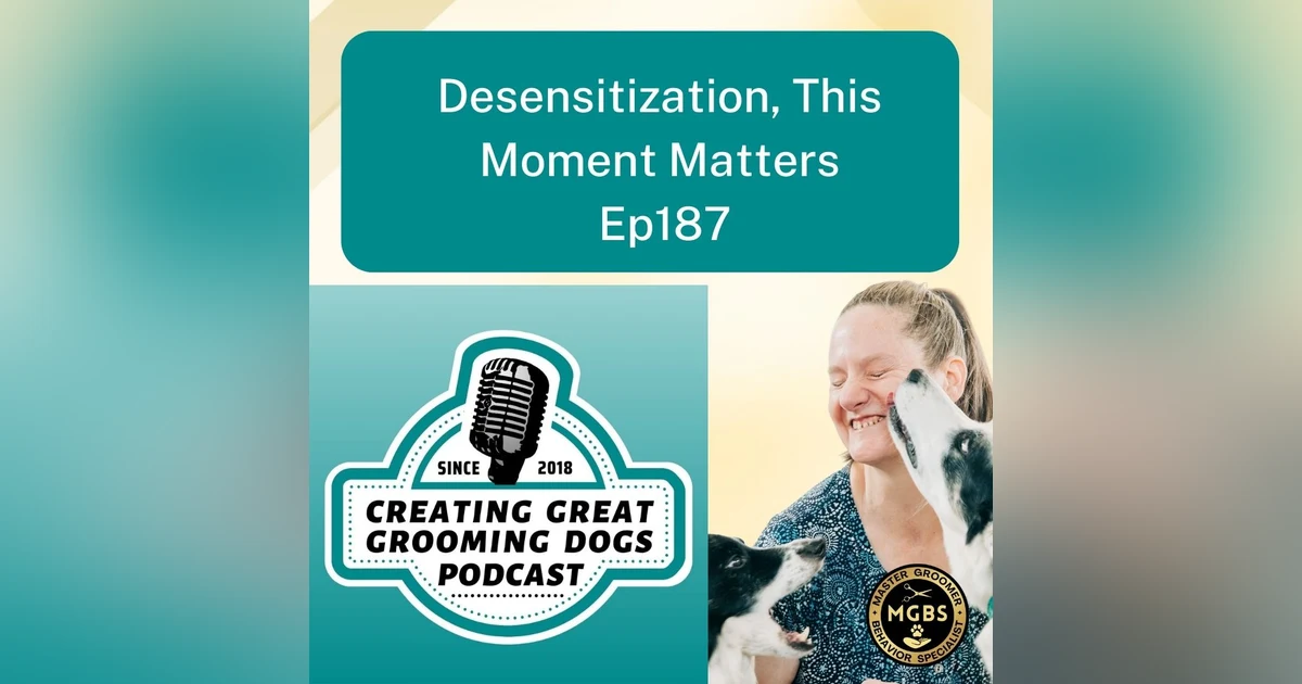 Desensitization, This Moment Matters Ep 187