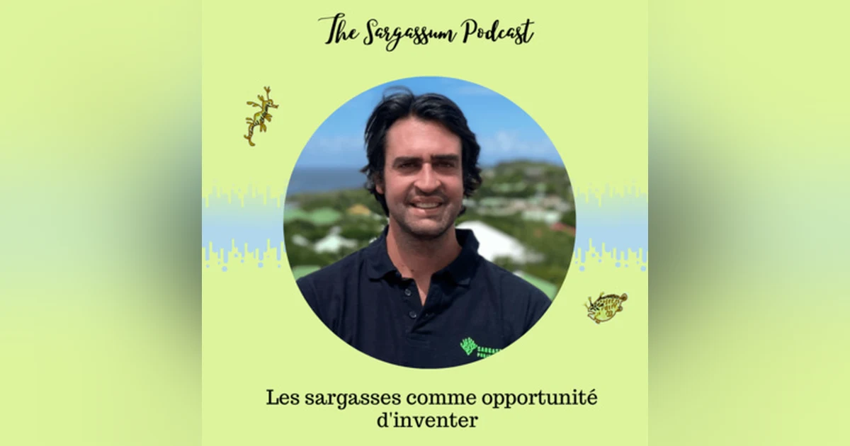 Ep.24: Les avantages du papier réalisé en sargasses avec Pierre-Antoine Guibout