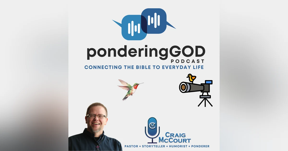 ponderingGOD - This is For The Birds
