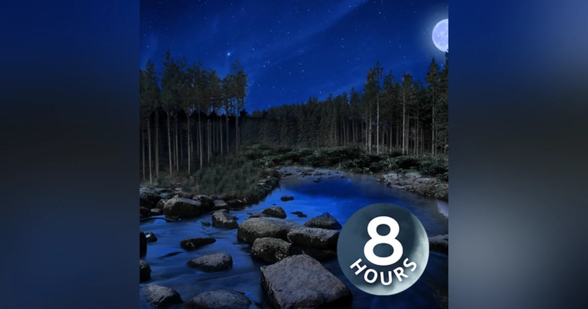 Bubbling Stream At Night 8 Hours | Crickets & Nature | For Sleeping or Studying