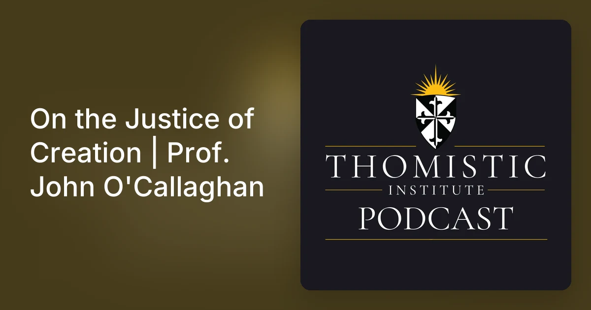 Prof Callaghan On the Justice of Creation | Prof. John O'Callaghan