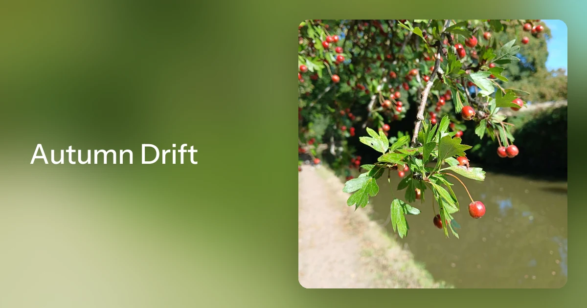 Autumn Drift