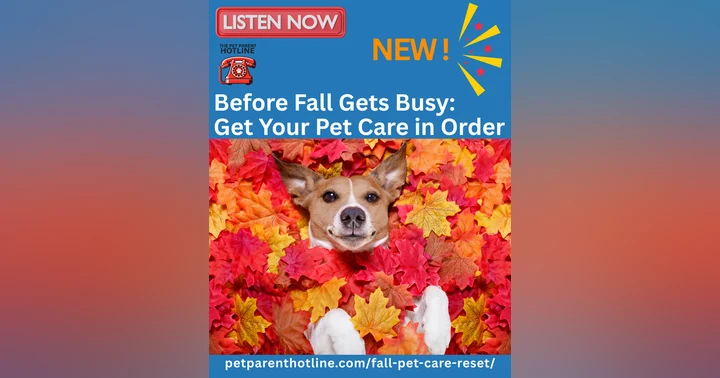 image for Your Fall Pet Care Reset: What’s Actually Worth Checking in September