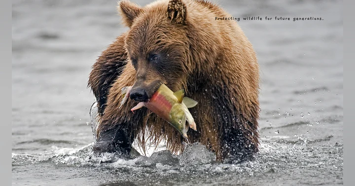 image for The Disconnect Between Hunting and Fishing Regulations and Public Understanding