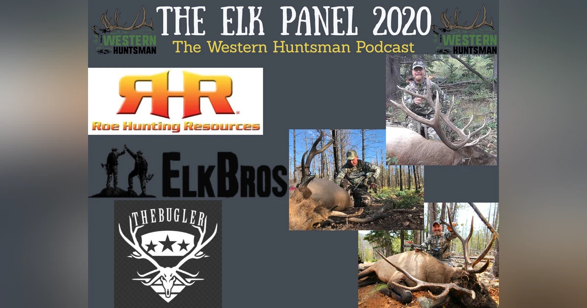 Winter Panel Series: Elk Hunting