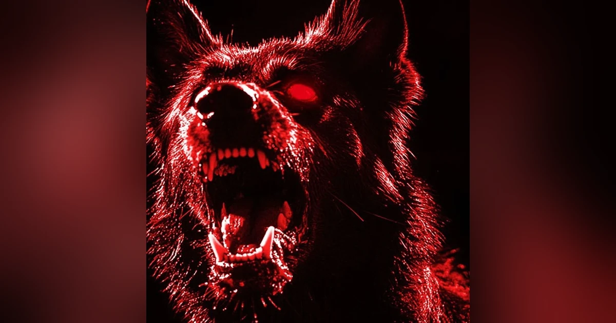 PERRO DEL INFIERNO De Apariencia Humana Historias De Terror - REDE
