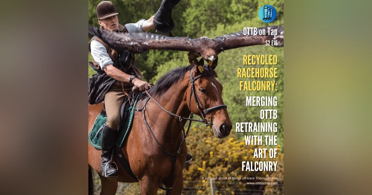 S2 E16: Recycled Racehorse Falconry - Merging OTTB Retraining with the Art of Falconry