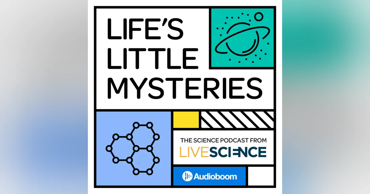 Bonus: Introducing Life's Little Mysteries