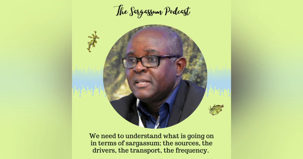 Ep34: Sargassum Networking in West Africa with Professor Kwasi Appeaning Addo