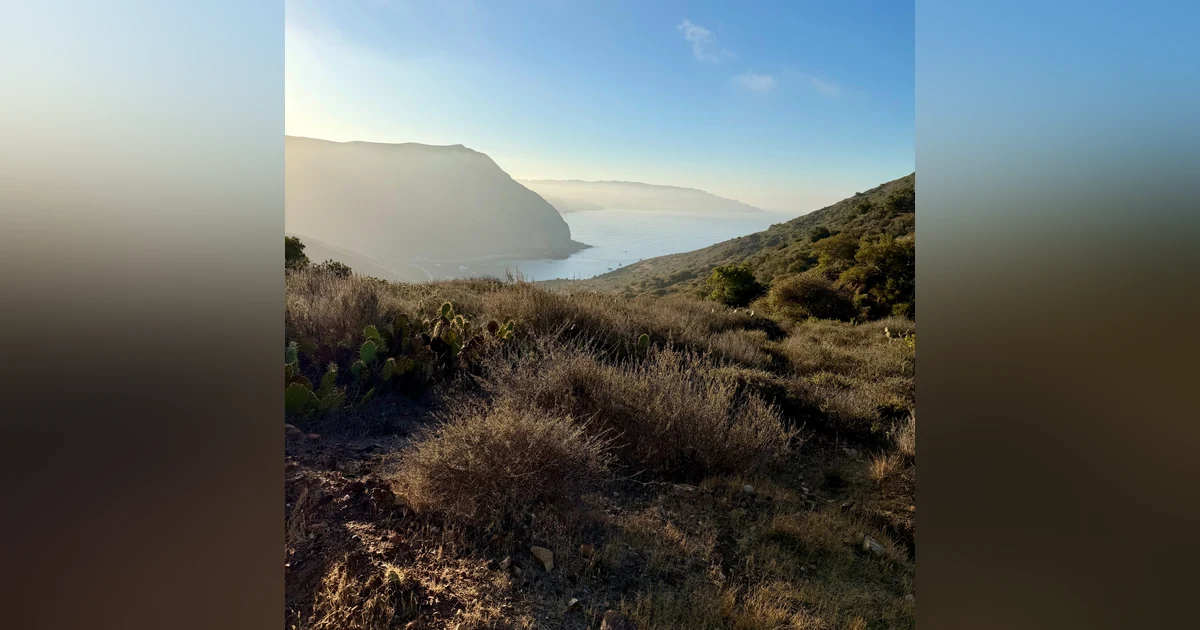 Island Biogeography with Kevin Alison and John Knapp