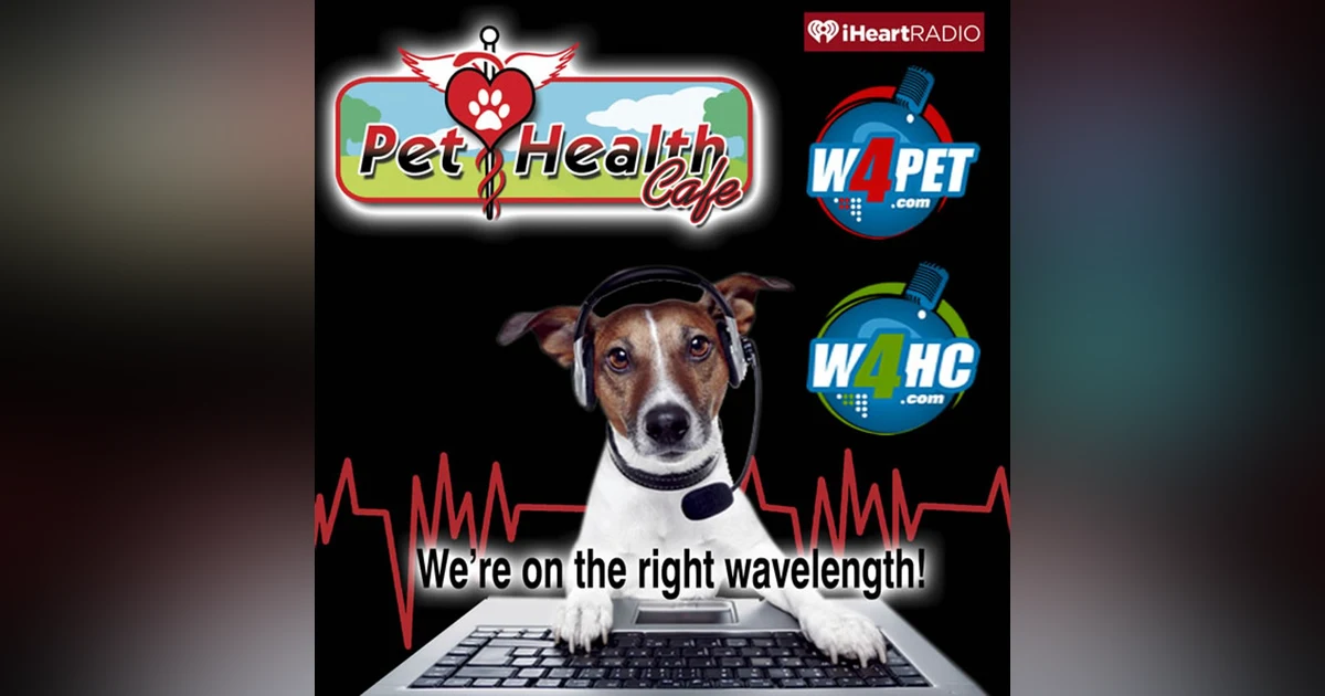 Fleas, Ticks, Heartworms, and drugs