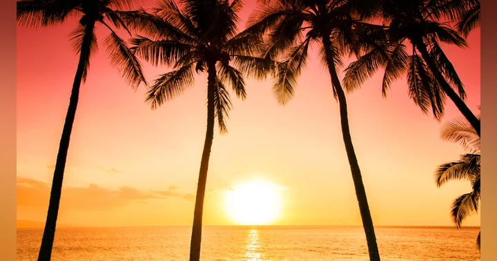 image for Tropic Wonder (Part 2): The Journey Begins – Travel Story from Winter to Warm Sun