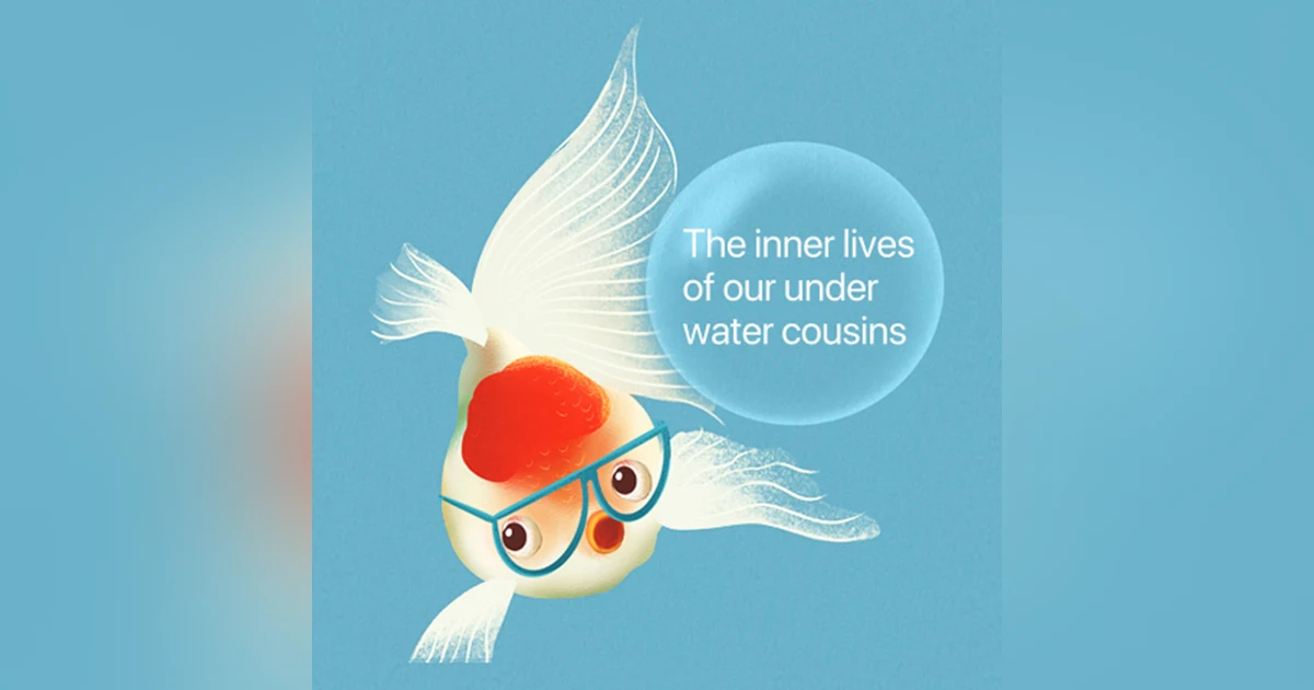 What a fish knows: Are fishes highly intelligent animals? Exploring the inner lives of our underwater cousins