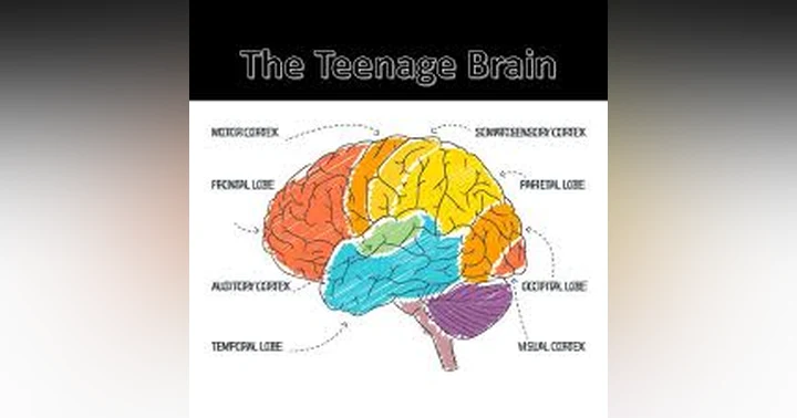 image for Puberty, The Brain and Mental Health