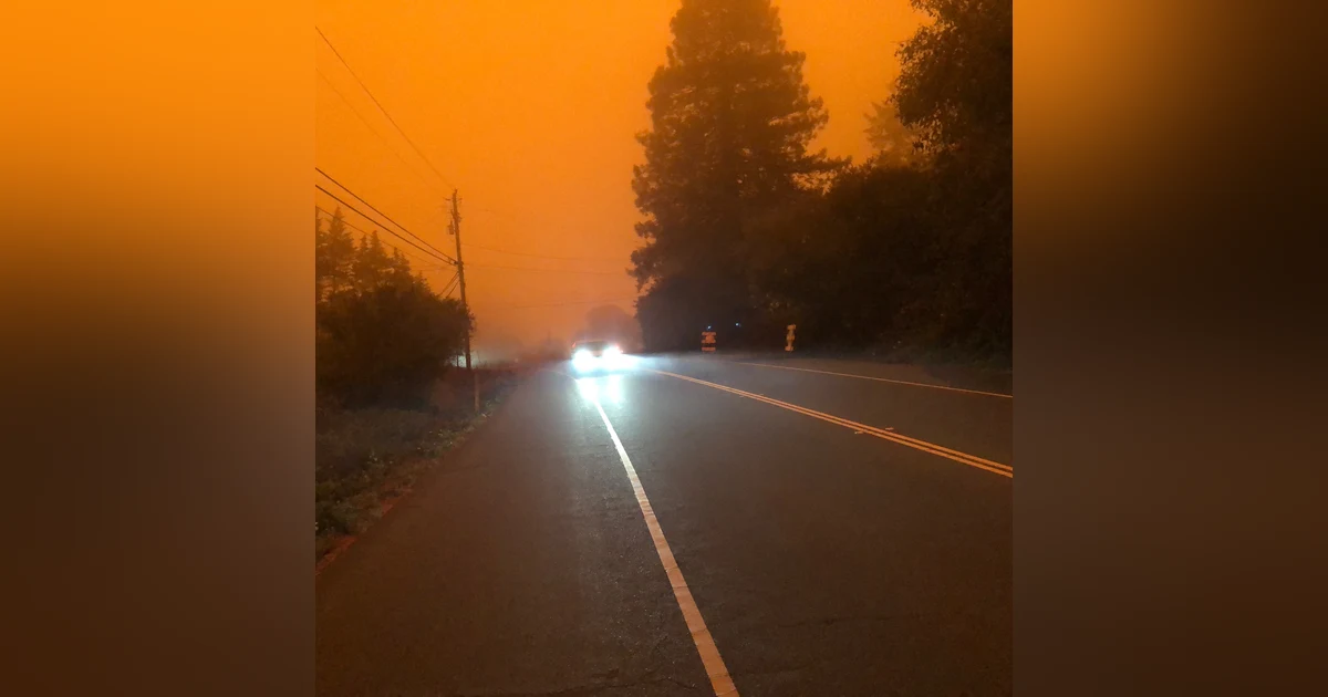 California's Wildfires: a Pathway to Redemption. Who Knew ?