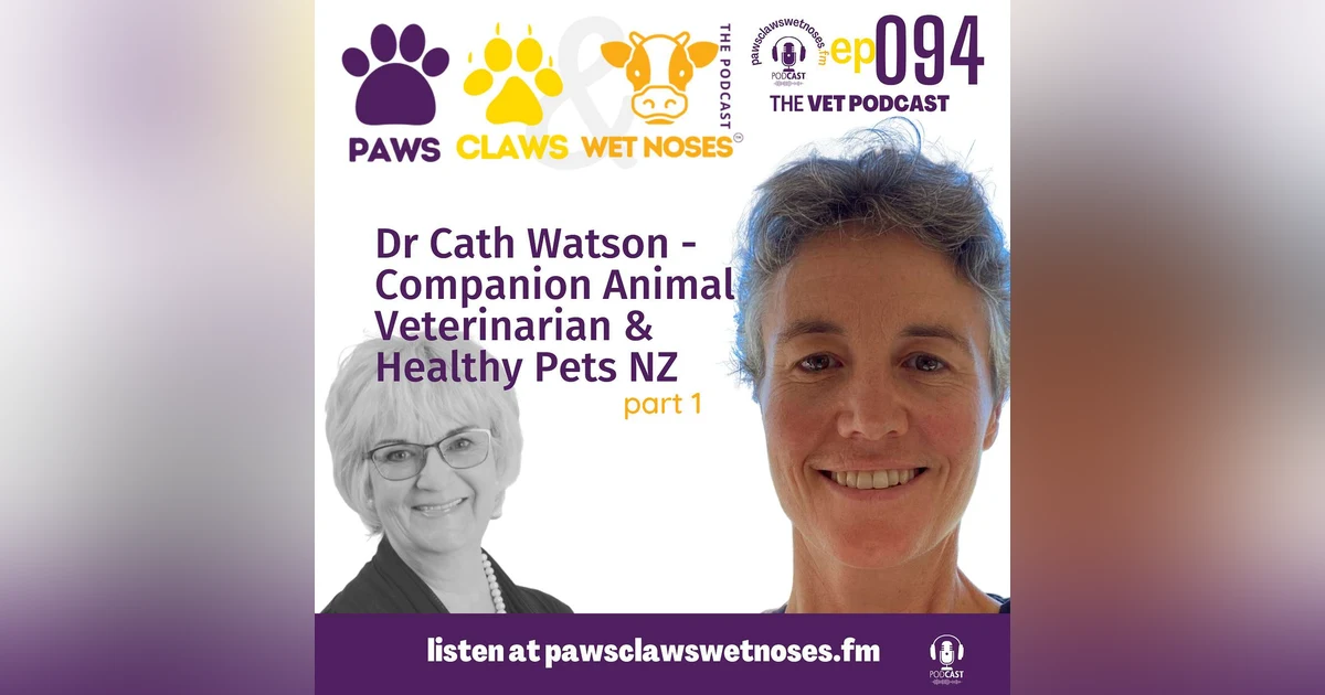 Dr Cath Watson - Companion Animal Veterinarian - Healthy Pets New Zealand - pt1 094