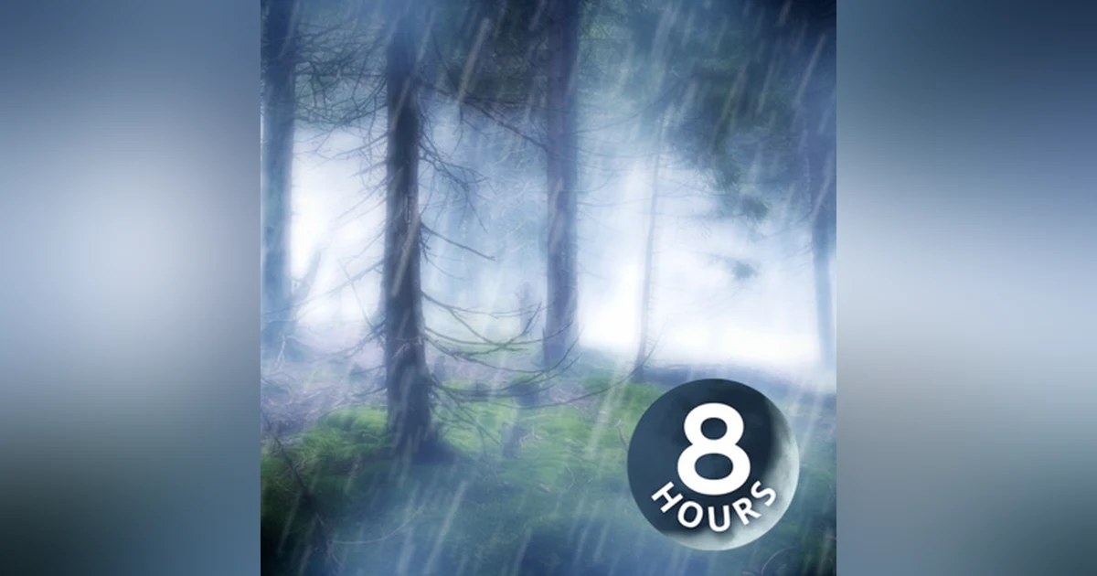 Rain in the Woods Sleep Sounds 8 hours | Nature's White Noise for Relaxation, Studying or Sleep