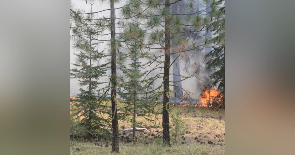 Wildfire Arsonists: A disturbing trend ?