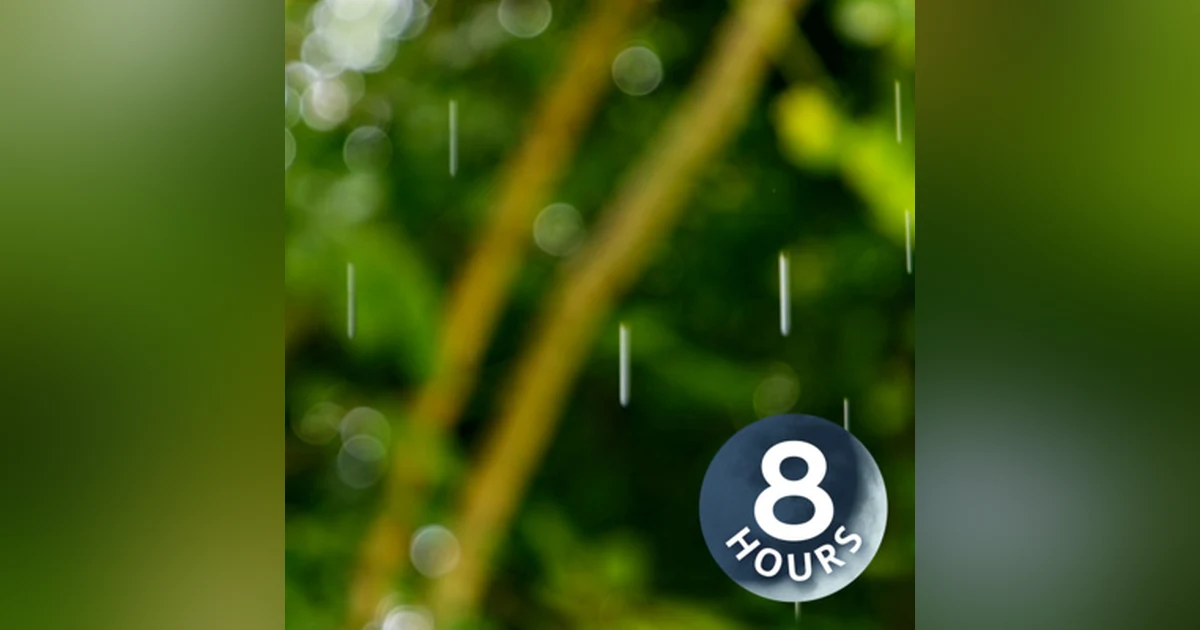 Dreamy Rain Sleep Sounds 8 Hours I Relaxing Rainstorm White Noise