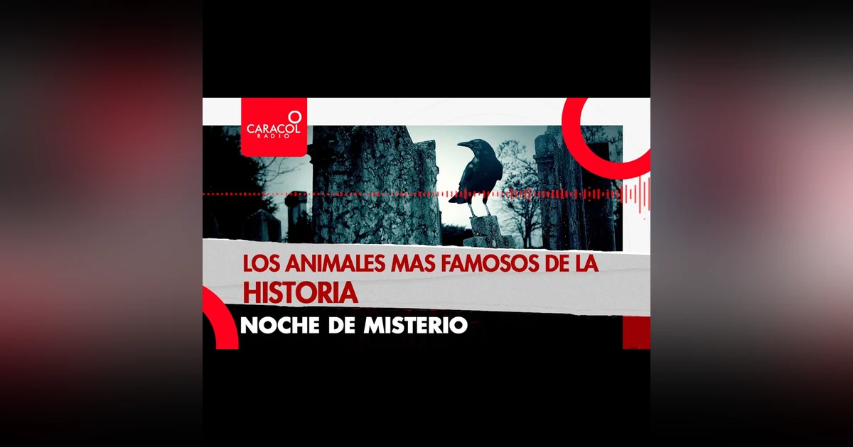 Los animales más famosos de la historia