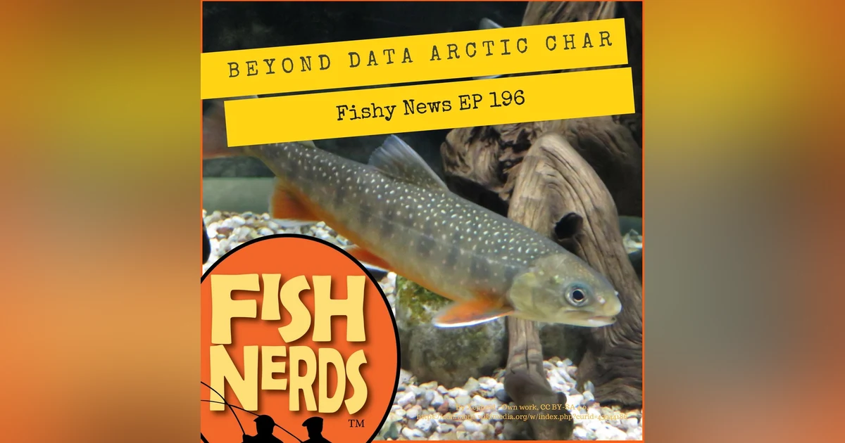 Arctic Char Beyond Data and Fishy News