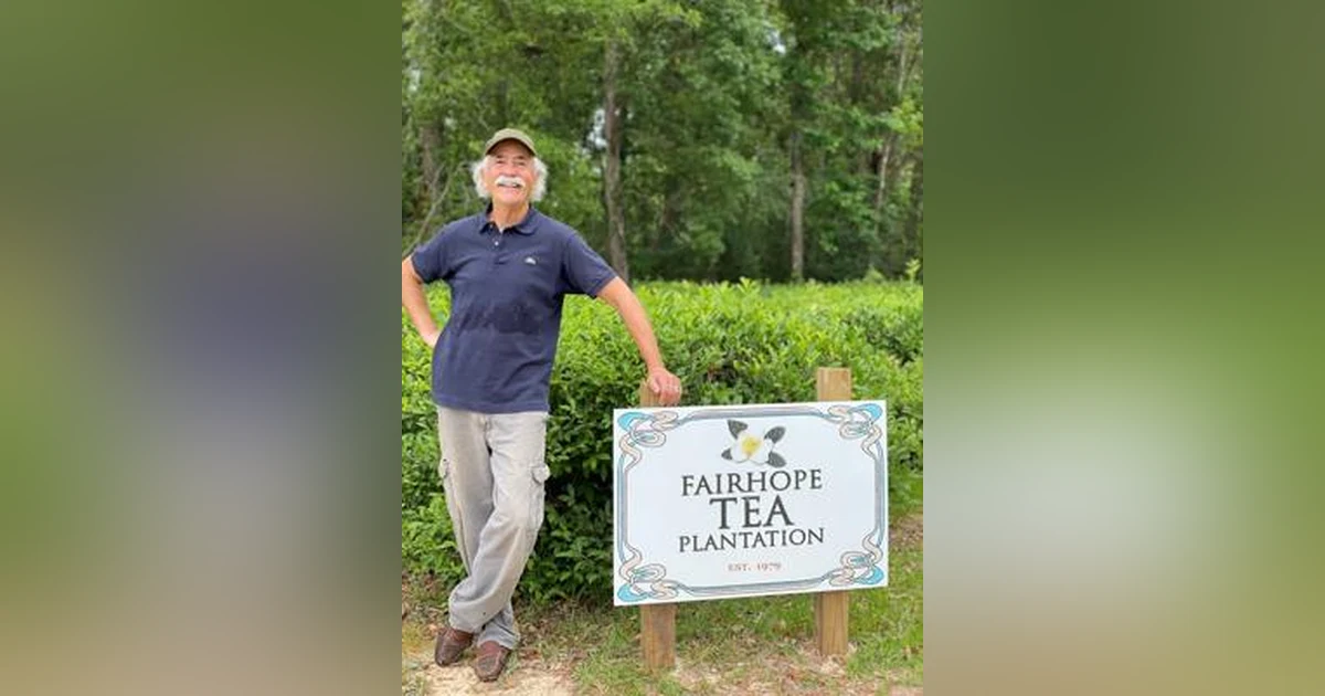 Spilling the Tea | Fairhope, Alabama's Rare Tea Farm