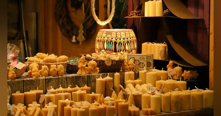 image for Finding Cozy Treasures on an Autumn Afternoon