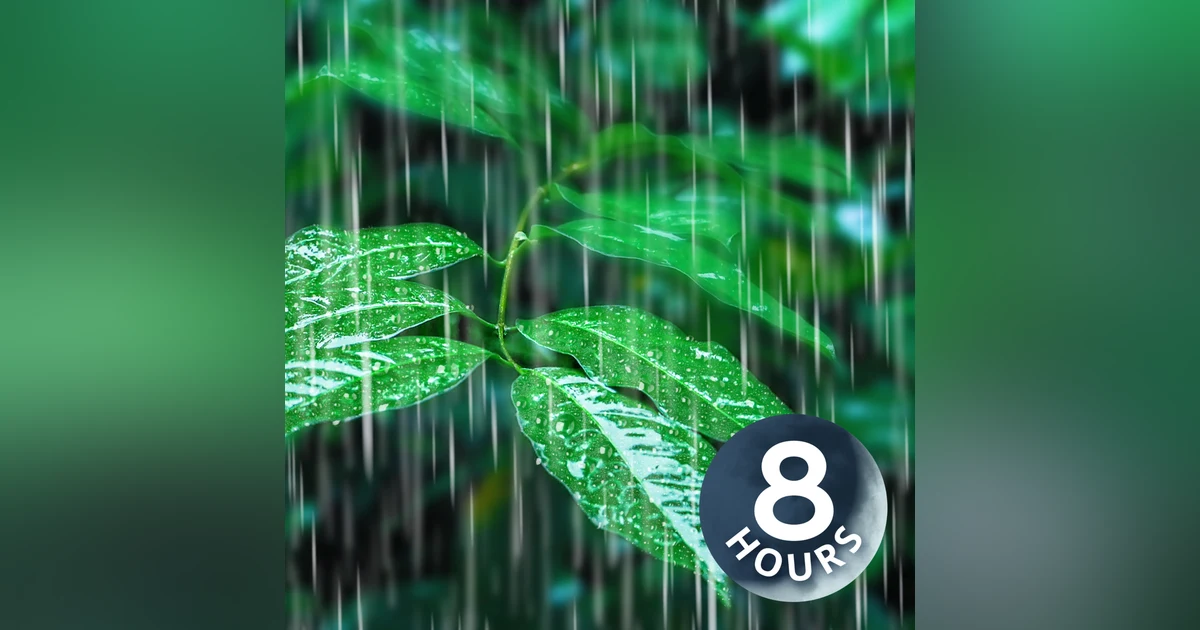 Rainfall on Forest Foliage | 8 Hours Rainstorm Sounds for Sleeping