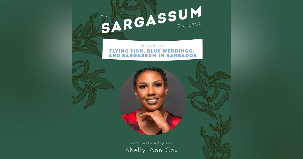 Ep. 42: Flying Fish, Blue Weddings, and Sargassum in Barbados with Dr Shelly-Ann Cox