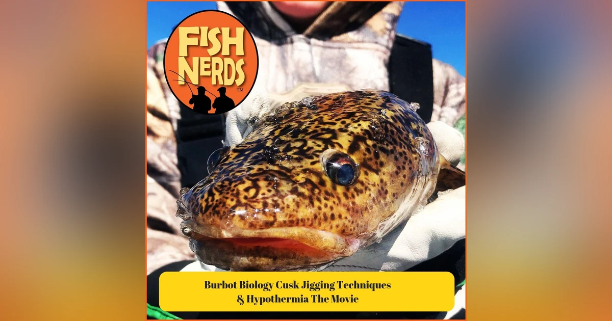 Burbot Biology Cusk Jigging Techniques and Hypothermia The Movie