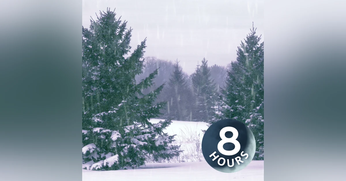 Winter Snowstorm White Noise 8 Hours | Snowfall and Wind Sounds