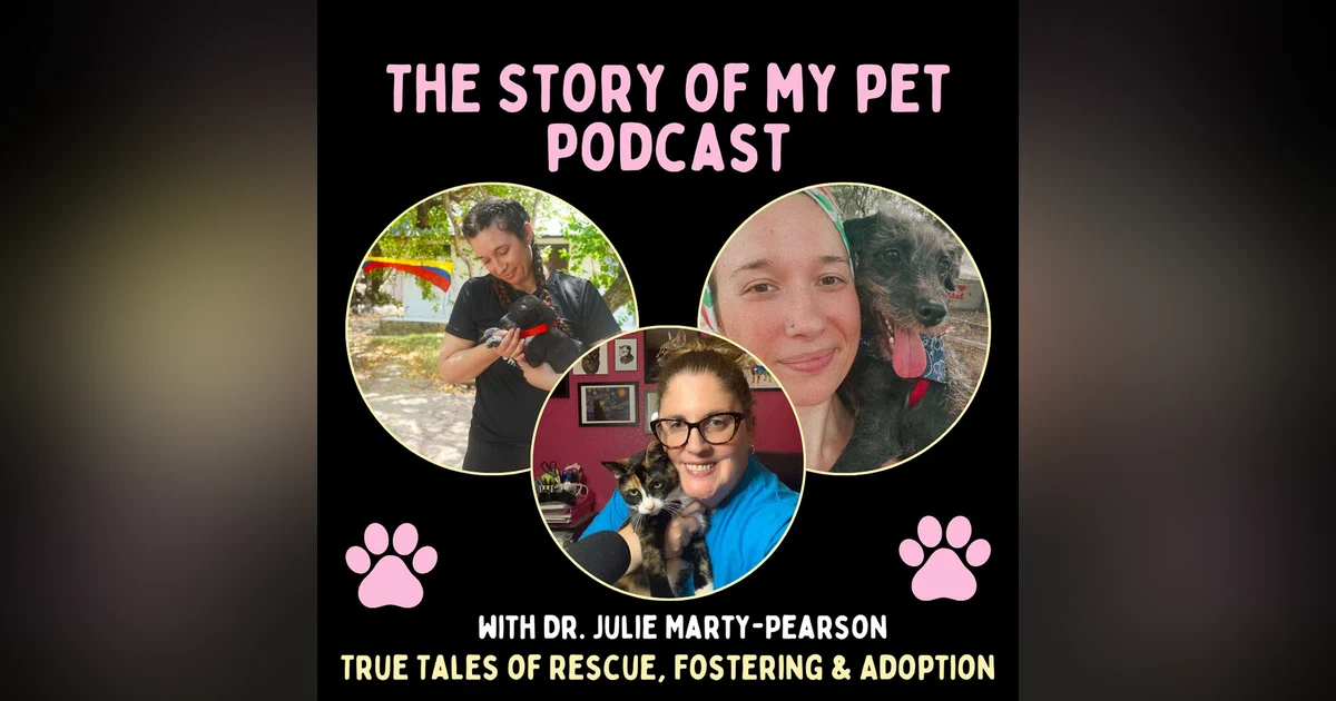 Advocating for Animals: Katherine Lacefield's Passionate Mission in Pet Welfare