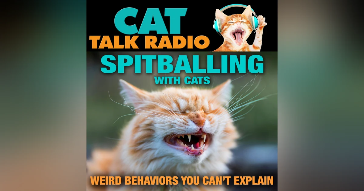 Spitballing with Cats: Weird Behaviors You Can't Explain